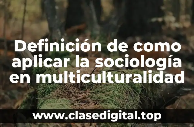 Definición de como aplicar la sociología en multiculturalidad