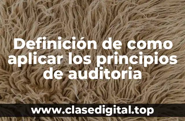Ejemplos de aplicación de los principios de auditoria