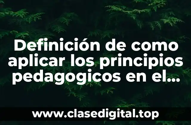 Definición de como aplicar los principios pedagogicos en el aula