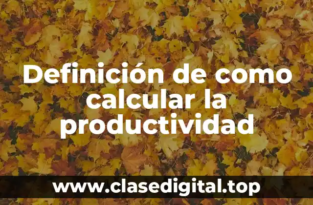 Definición de como calcular la productividad