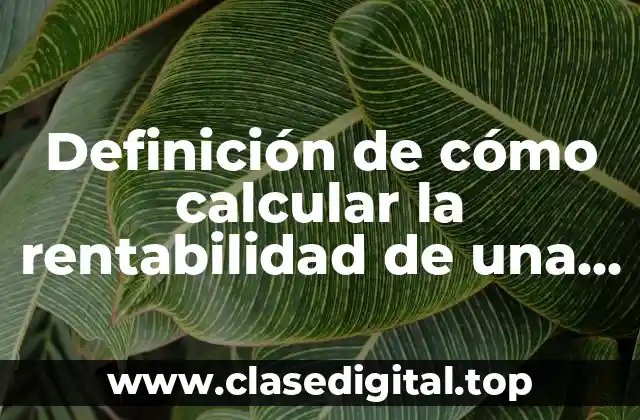 Definición de cómo calcular la rentabilidad de una empresa