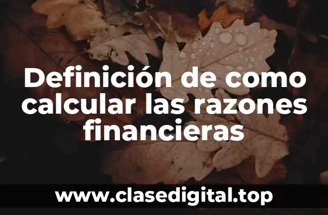 Definición de como calcular las razones financieras