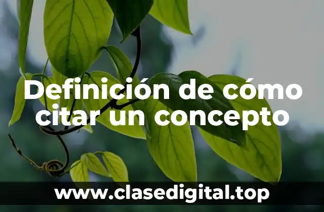 Definición de cómo citar un concepto