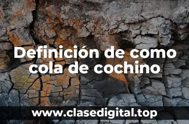 Definición de como cola de cochino
