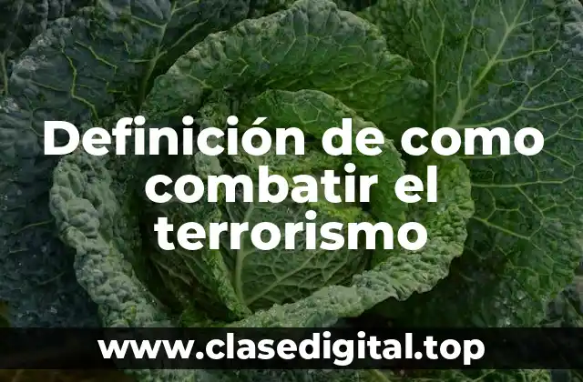 Ejemplos de como combatir el terrorismo
