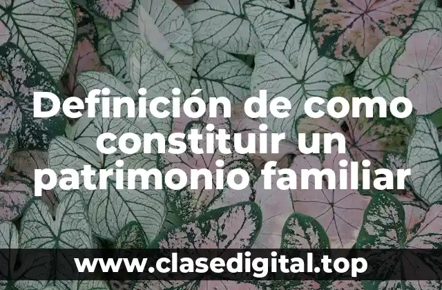 Ejemplos de cómo constituir un patrimonio familiar