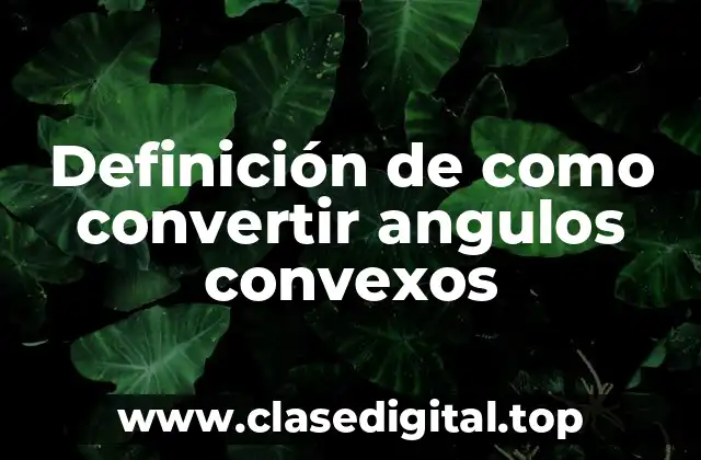 Definición de como convertir angulos convexos
