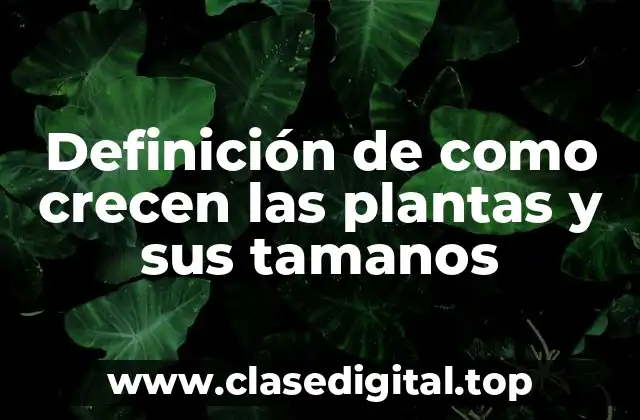 Definición de como crecen las plantas y sus tamanos