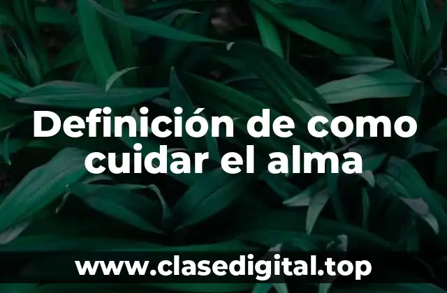Definición de como cuidar el alma