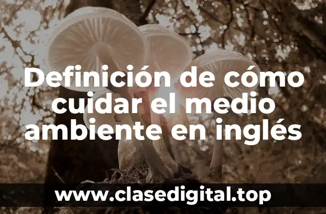 Definición de cómo cuidar el medio ambiente en inglés