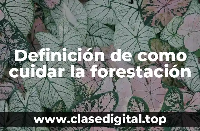 Definición de como cuidar la forestación