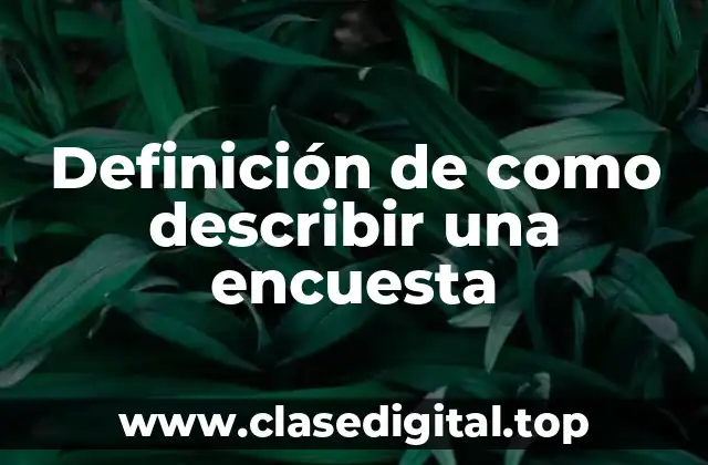 Definición de como describir una encuesta