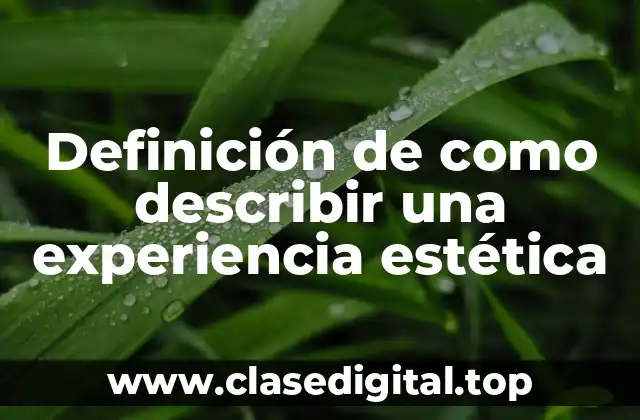 Definición de como describir una experiencia estética