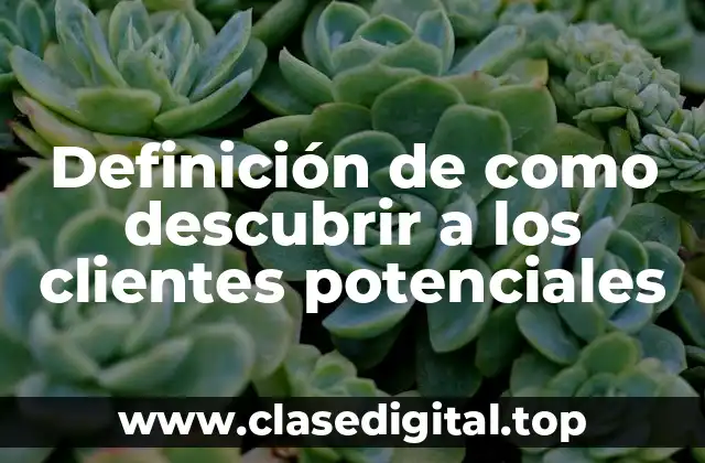 Definición de como descubrir a los clientes potenciales