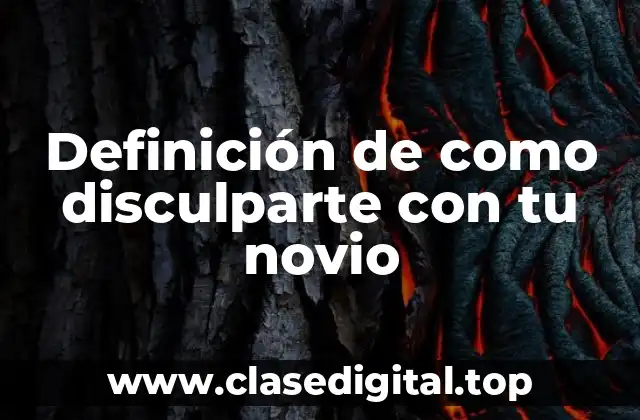 Definición de como disculparte con tu novio