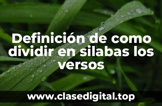 Ejemplos de como dividir en silabas los versos