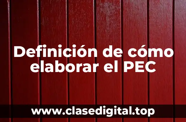 Definición de cómo elaborar el PEC