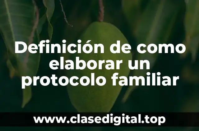 Definición de como elaborar un protocolo familiar