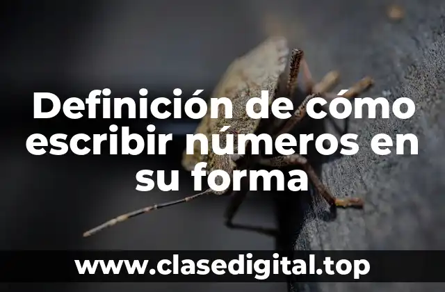 Definición de cómo escribir números en su forma