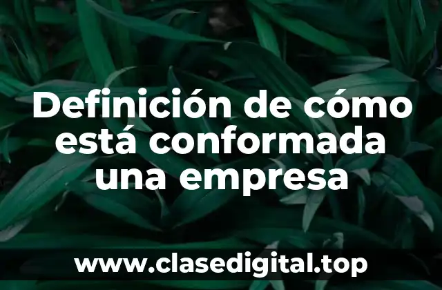 Definición de cómo está conformada una empresa