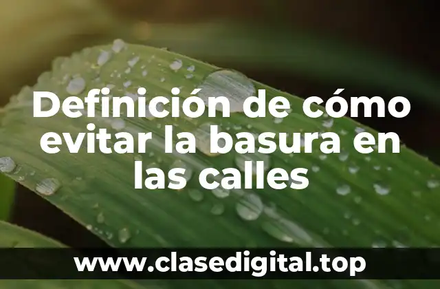 Definición de cómo evitar la basura en las calles
