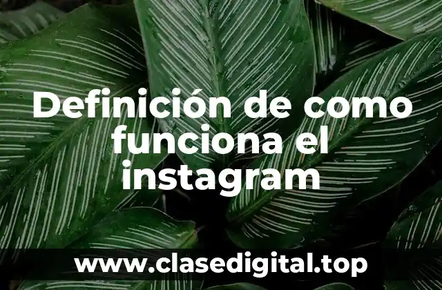Definición de como funciona el instagram