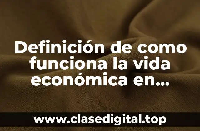 Definición de como funciona la vida económica en México