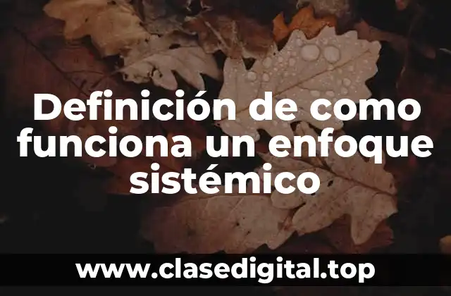 Definición de como funciona un enfoque sistémico