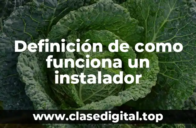 Definición de como funciona un instalador