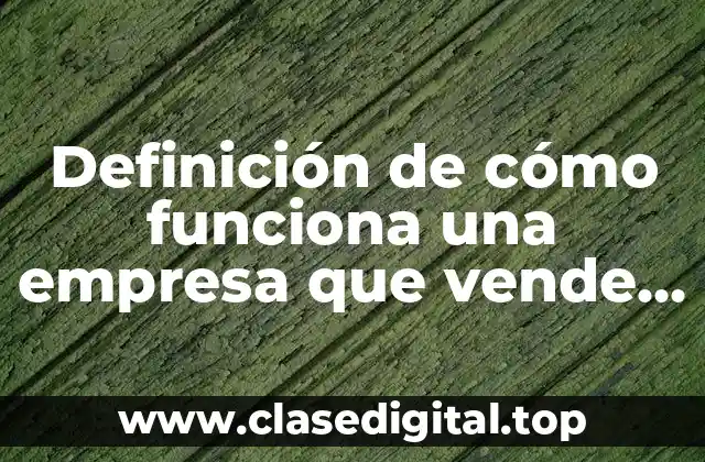 Definición de cómo funciona una empresa que vende online