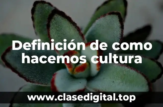 Definición de como hacemos cultura