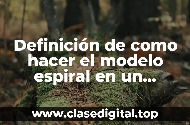 Definición de como hacer el modelo espiral en un software