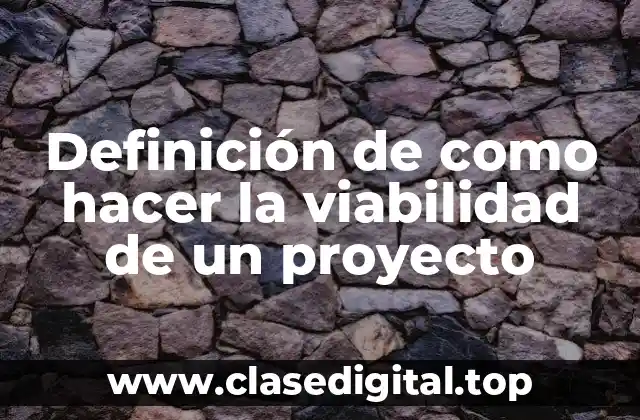 Definición de como hacer la viabilidad de un proyecto