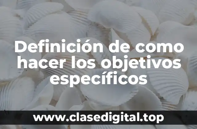 Definición de como hacer los objetivos específicos