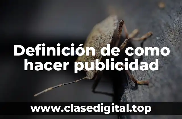 Ejemplos de como hacer publicidad