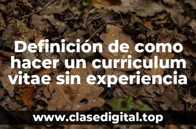 Definición de como hacer un curriculum vitae sin experiencia