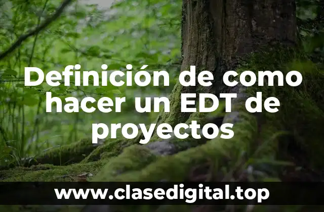 Definición de como hacer un EDT de proyectos