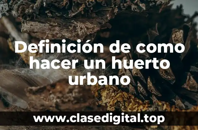 Definición de como hacer un huerto urbano