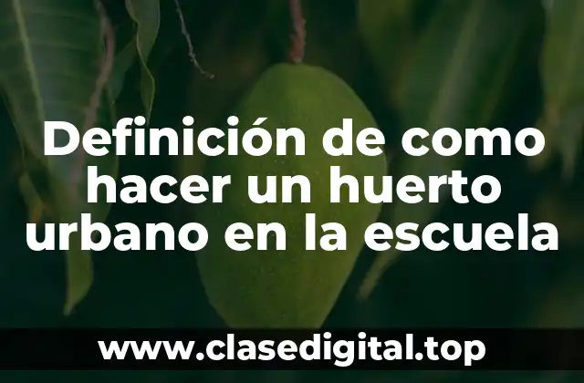 Definición de como hacer un huerto urbano en la escuela