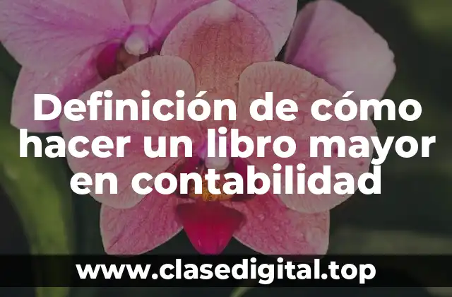 Definición de cómo hacer un libro mayor en contabilidad