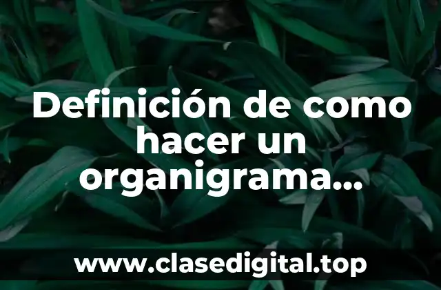 Definición de como hacer un organigrama especifico