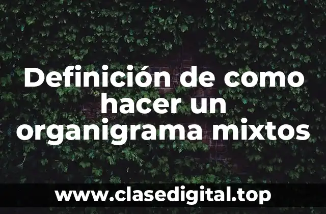 Definición de como hacer un organigrama mixtos