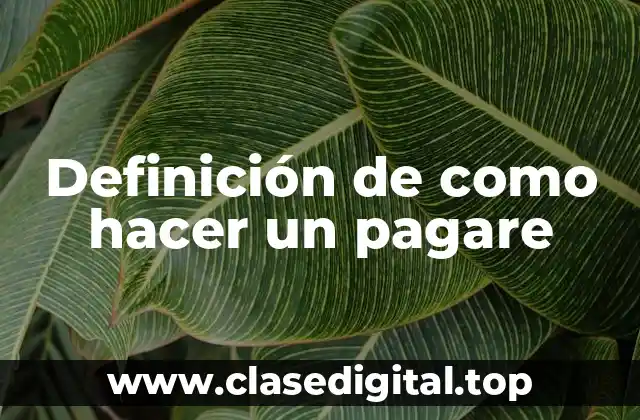 Definición de como hacer un pagare