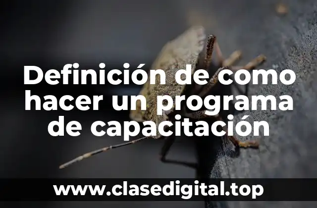 Definición de como hacer un programa de capacitación