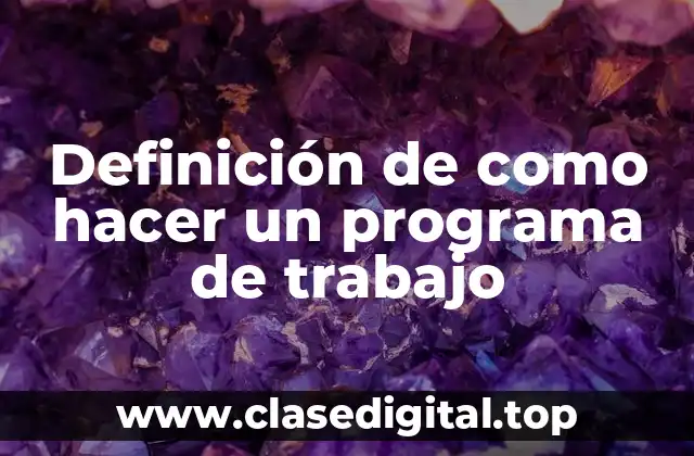 Definición de como hacer un programa de trabajo