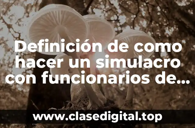 Definición de como hacer un simulacro con funcionarios de casilla