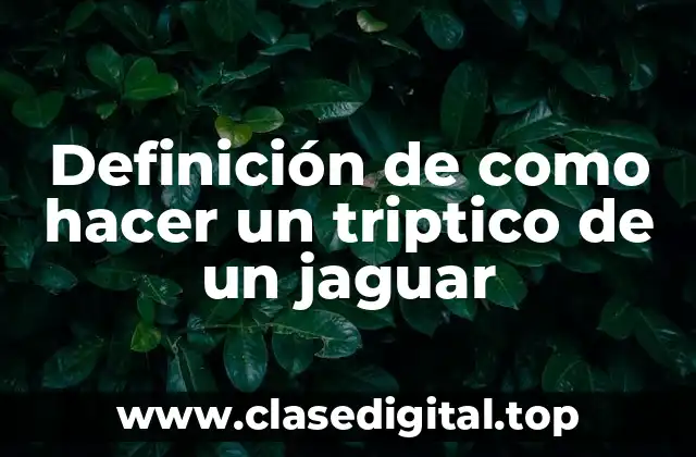 Definición de como hacer un triptico de un jaguar