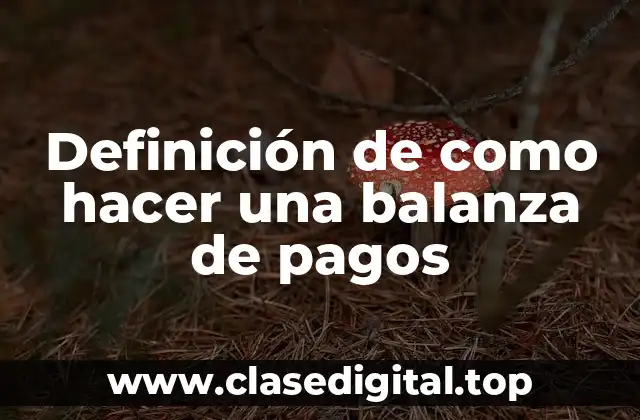 Ejemplos de balanza de pagos