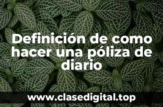 Definición de como hacer una póliza de diario
