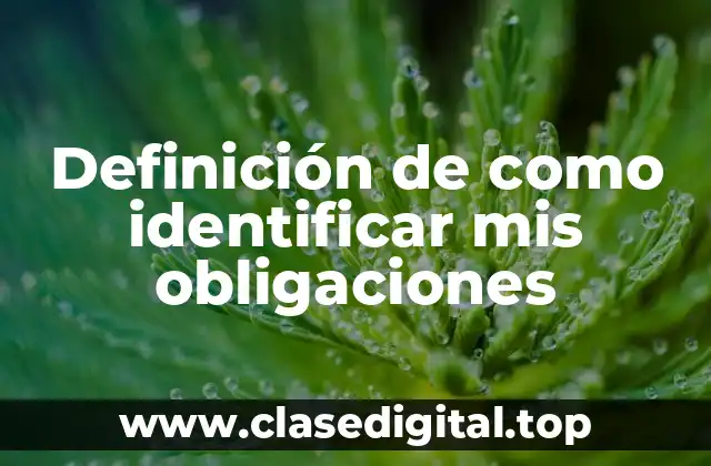 Definición de como identificar mis obligaciones